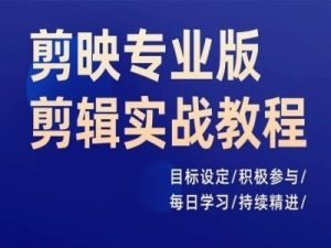 剪映专业版剪辑实战教程,目标设定/积极参与/每日学习/持续精进-最全项目网