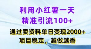 利用小红书一天精准引流100+，通过卖项目单日变现2k+，项目稳定，越做越香【揭秘】-最全项目网