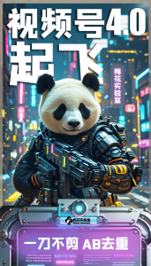 梅花实验窒微信视频号连怼玩法技巧起飞4.0一键AB破解版【揭秘】-最全项目网