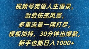 视频号英语人生语录，多重流量一网打尽，模板加持，30分钟出爆款，新手也能日入1000+【揭秘】-最全项目网