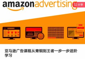 亚马逊广告课程,从青铜到王者一步一步进阶学习(更新9月)-最全项目网
