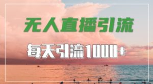 抖音快手视频号全平台通用，无人直播引流法，超暴力引流1000+高质量精准创业粉【揭秘】-最全项目网