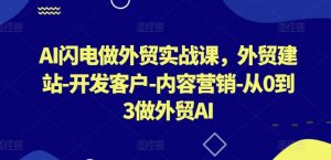 AI闪电做外贸实战课，​外贸建站-开发客户-内容营销-从0到3做外贸AI（更新）-最全项目网