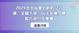2024多多运营必听的12节课，全程干货，玩法实操，爆款方案尽在掌握-最全项目网
