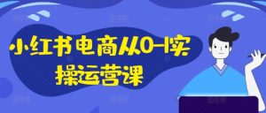 小红书电商从0-1实操运营课，小红书手机实操小红书/IP和私域课/小红书电商电脑实操板块等-最全项目网