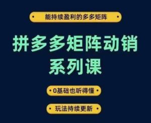 拼多多矩阵动销系列课，能持续盈利的多多矩阵，0基础也听得懂，玩法持续更新-最全项目网