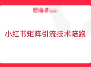 小红书矩阵引流技术,教大家玩转小红书流量-最全项目网