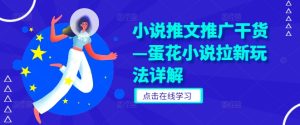 小说推文推广干货—蛋花小说拉新玩法详解-最全项目网
