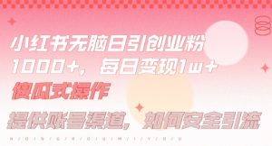 小红书无脑每日引流创业粉500+，小白每天只花半小时，躺赚长尾收益【揭秘】-最全项目网