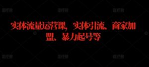实体流量运营课,实体引流、商家加盟、暴力起号等-最全项目网