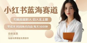 小红书蓝海赛道，圈中高端职场人，月入无上限，可矩阵，内含私域实操教程!-最全项目网