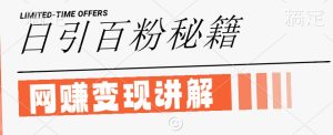最新闲鱼引流创业粉,日引100+,网创项目虚变现讲解【揭秘】-最全项目网