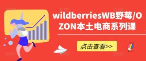 wildberriesWB野莓/OZON本土电商系列课，掌握WB产品优化，出单技巧和订单处理等-最全项目网