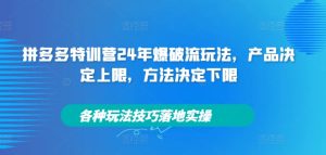 拼多多特训营24年爆破流玩法，产品决定上限，方法决定下限，各种玩法技巧落地实操-最全项目网