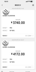 手机搬砖项目,可以矩阵化操作,新手一个月轻松5000多-最全项目网