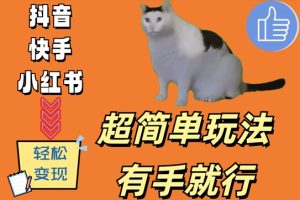 超简单玩法，有手就行，靠猫咪视频日入500+【揭秘】-最全项目网