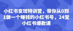 小红书变现特训营，带你从0到1做一个赚钱的小红书号，24堂小红书爆款课-最全项目网