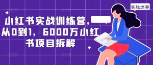 小红书实战训练营,从0到1,6000万小红书项目拆解-最全项目网