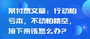 某付费文章：行动怕亏本，不动怕踏空，接下来该怎么办?-最全项目网