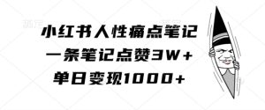 小红书人性痛点笔记，一条笔记点赞3W+，单日变现1k-最全项目网