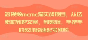 短视频meme猫实战项目，从选素材到把文案，到剪辑，手把手的教你快速起号涨粉-最全项目网