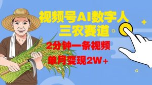 视频号AI数字人玩转三农赛道,2分钟一条视频,单月变现2W+-最全项目网