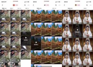 狗熊岭快手连怼技术，好物，涨粉都可以连怼-最全项目网