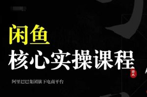 2024闲鱼核心实操课程,从养号、选品、发布、销售,教你做一个出单的闲鱼号-最全项目网