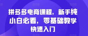 拼多多电商课程,新手纯小白必看,零基础教学快速入门-最全项目网