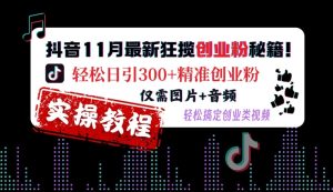 抖音11月最新狂揽创业粉秘籍，轻松日引300+精准创业粉，仅需图片+音频，轻松搞定创业类视频-最全项目网