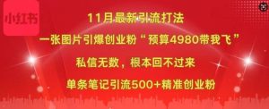 小红书11月最新图片打粉,一张图片引爆创业粉,“预算4980带我飞”,单条引流500+精准创业粉-最全项目网