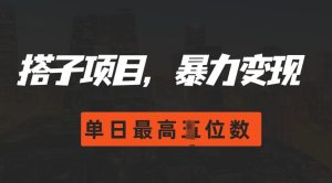 2024搭子玩法,0门槛,暴力变现,单日最高破四位数【揭秘】-最全项目网