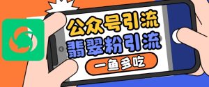 公众号利用推荐流量和搜一搜流量引流翡翠粉,一鱼多吃-最全项目网