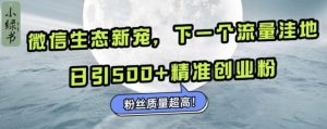 微信生态新宠小绿书：下一个流量洼地，日引500+精准创业粉，粉丝质量超高-最全项目网