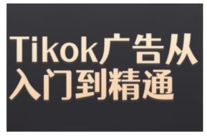 Tiktok Ads实操教程,Tiktok广告从入门到精通-最全项目网