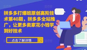 拼多多打爆班原创高阶技术第40期,拼多多全站推广,让更多卖家花小钱学到好技术-最全项目网