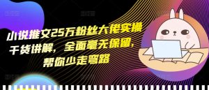 小说推文25万粉丝大佬实操干货讲解，全面毫无保留，帮你少走弯路-最全项目网