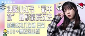 最新小红书截流玩法 独家截中截 单号成本几块钱 日引500+CY粉JZ粉-最全项目网