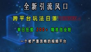 全新引流风口,跨平台玩法日入上k,单日狂揽200+精准创业粉,一个被严重忽略的视频平台-最全项目网
