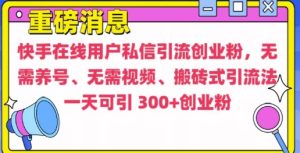 快手最新引流创业粉方法,无需养号、无需视频、搬砖式引流法【揭秘】-最全项目网