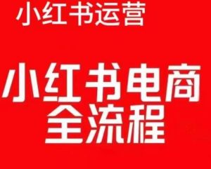 红薯电商实操课，小红书电商全流程-最全项目网