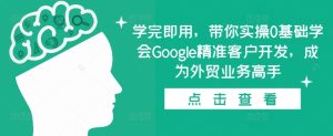 学完即用,带你实操0基础学会Google精准客户开发,成为外贸业务高手-最全项目网