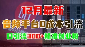 12月最新:音频平台0成本引流,日引流300+精准创业粉-最全项目网
