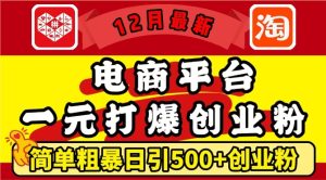 12月最新：电商平台1元打爆创业粉，简单粗暴日引500+精准创业粉，轻松月入过W【揭秘】-最全项目网