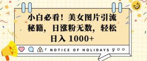 小白必看,美女图片引流秘籍,日涨粉无数,轻松日入几张【揭秘】-最全项目网