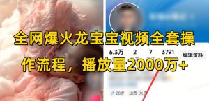 全网爆火龙宝宝视频全套操作流程，播放量2000万+-最全项目网