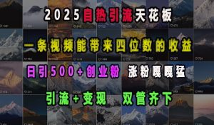 2025自热引流天花板，一条视频能带来四位数的收益，引流+变现双管齐下，日引500+创业粉，涨粉嘎嘎猛-最全项目网