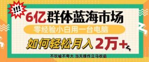 6亿群体蓝海市场，零经验小白用一台电脑，如何轻松月入过w【揭秘】-最全项目网