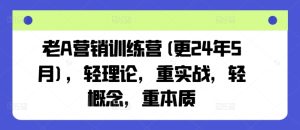 老A营销训练营(更24年12月),轻理论,重实战,轻概念,重本质-最全项目网