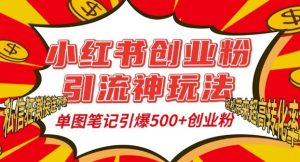 小红书创业粉引流神玩法,单图笔记引爆500+精准创业粉丝,私信狂潮接连不断-最全项目网